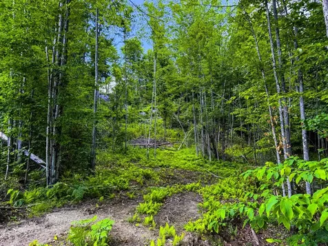 Tbd Wilder Road Duxbury VT 05660