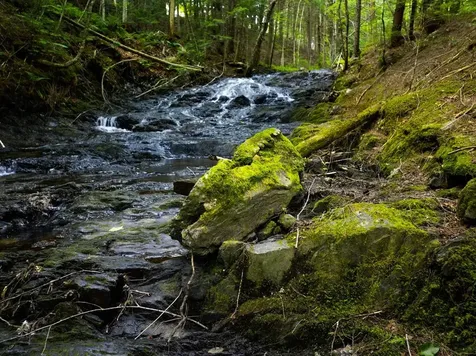 Tbd Wilder Road Duxbury VT 05660