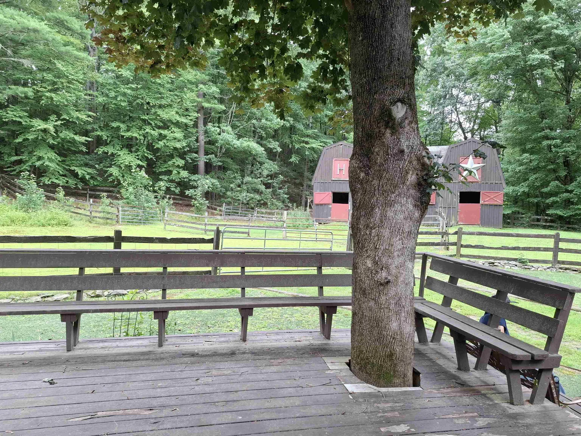 62 Thornell Rd. Road Newton NH 03858