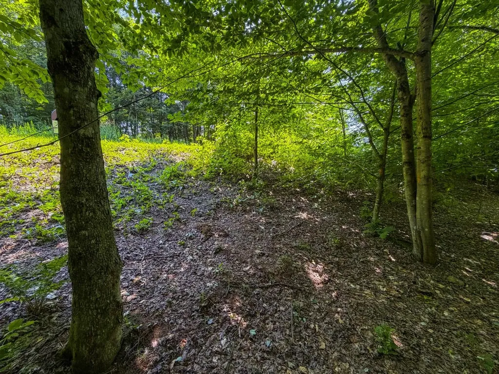 Tbd Taylor Road Duxbury VT 05660