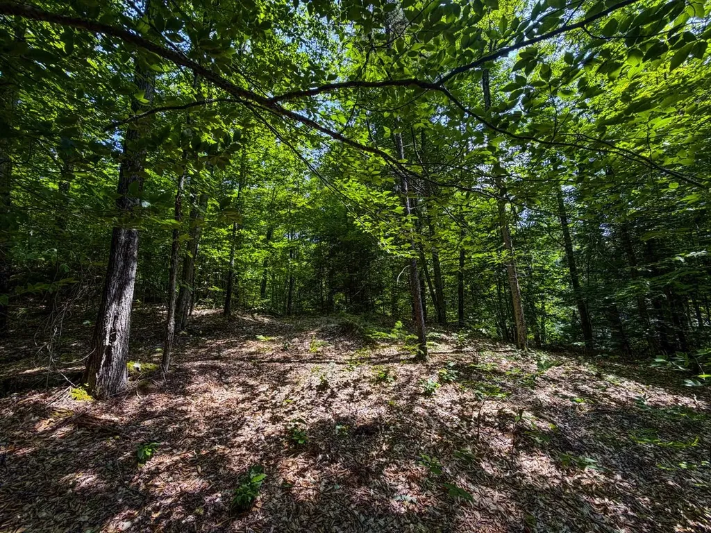 Tbd Taylor Road Duxbury VT 05660