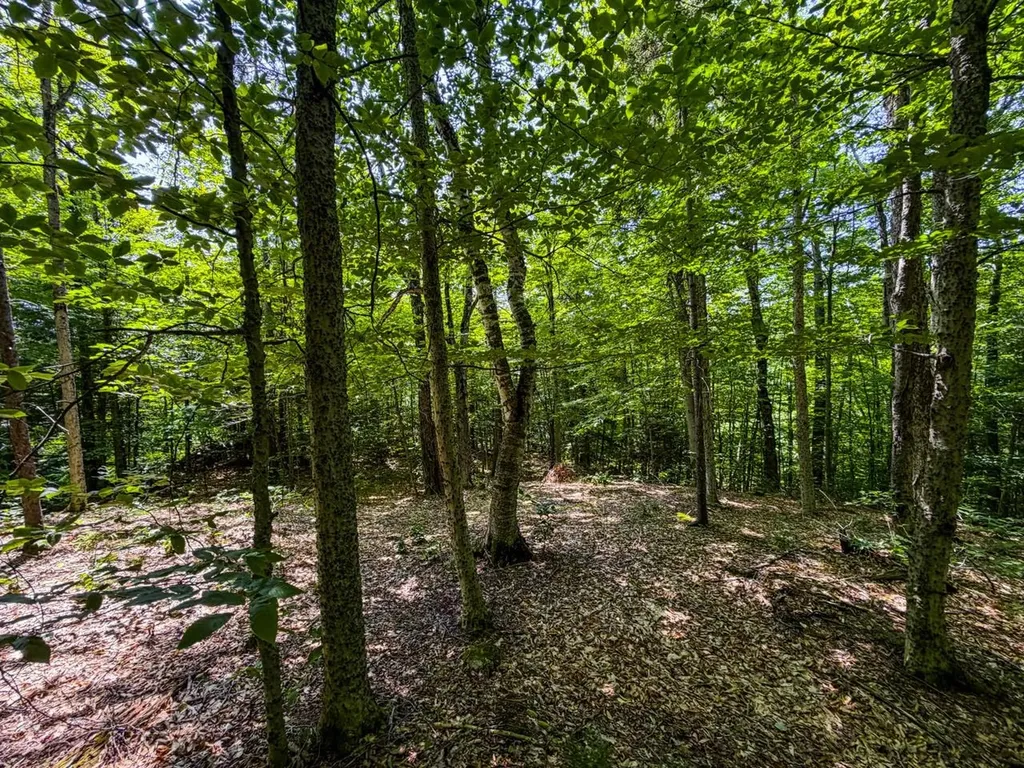 Tbd Taylor Road Duxbury VT 05660