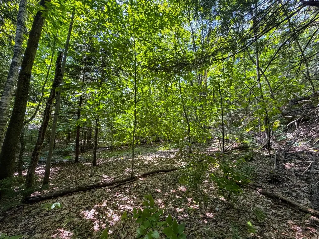 Tbd Taylor Road Duxbury VT 05660