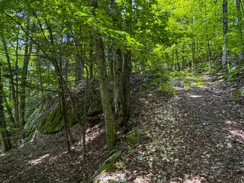 Tbd Taylor Road Duxbury VT 05660
