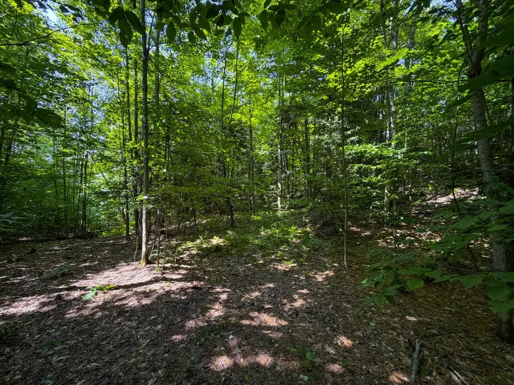 Tbd Taylor Road Duxbury VT 05660