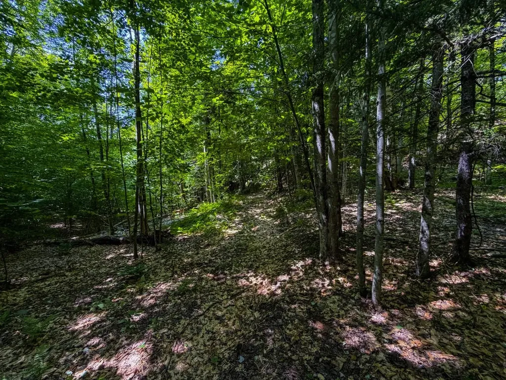 Tbd Taylor Road Duxbury VT 05660