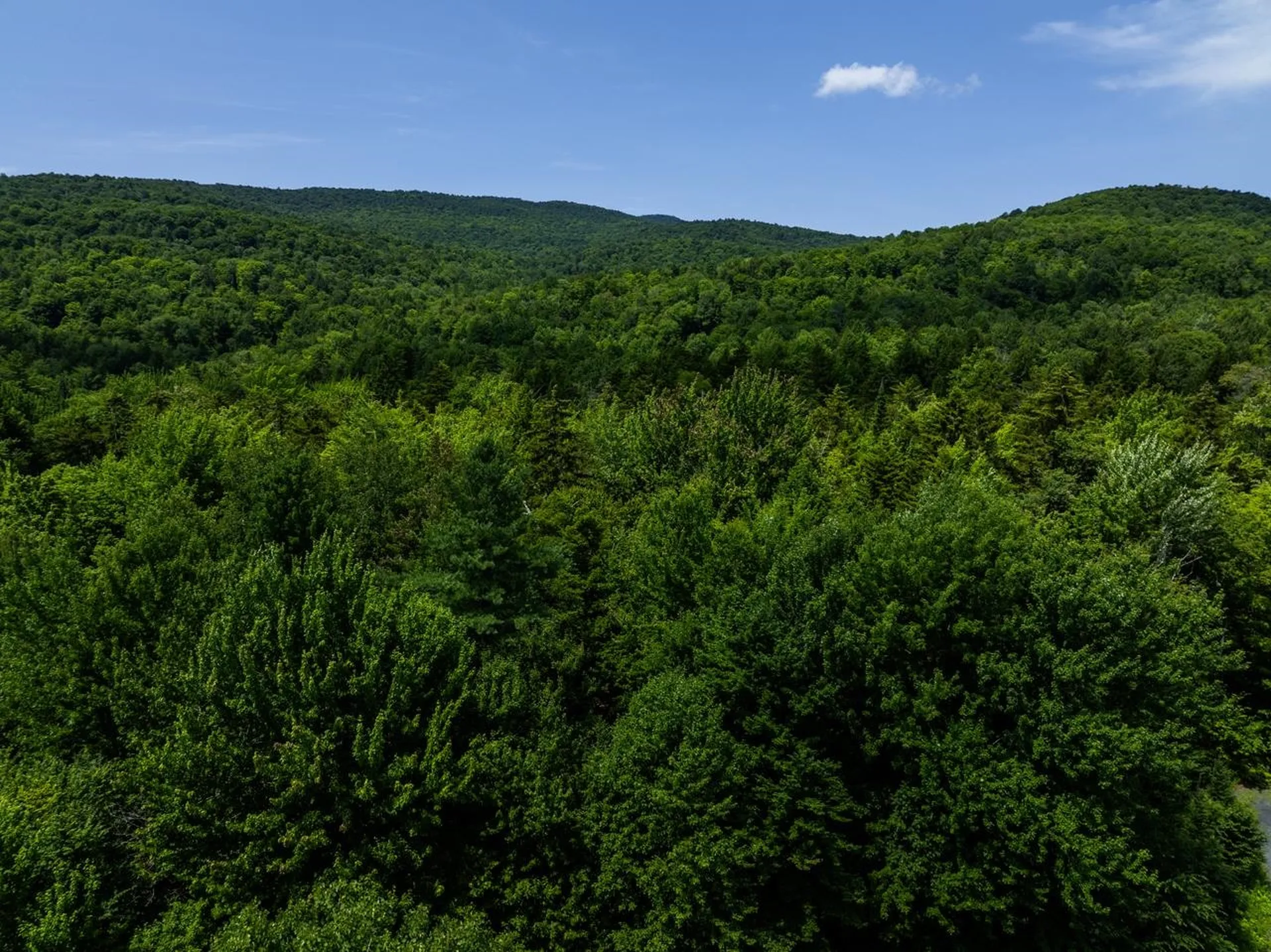 Tbd Taylor Road Duxbury VT 05660