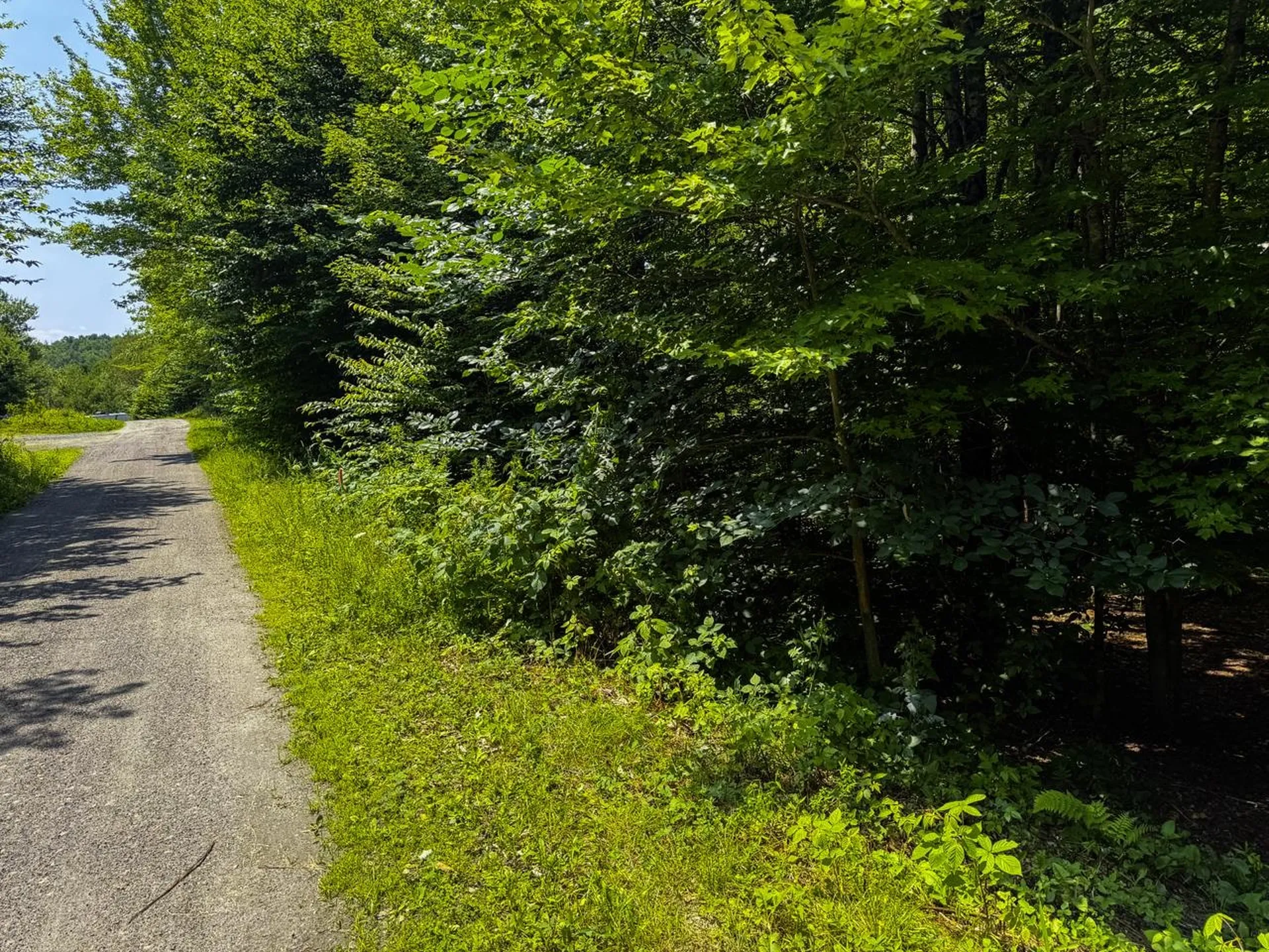 Tbd Taylor Road Duxbury VT 05660