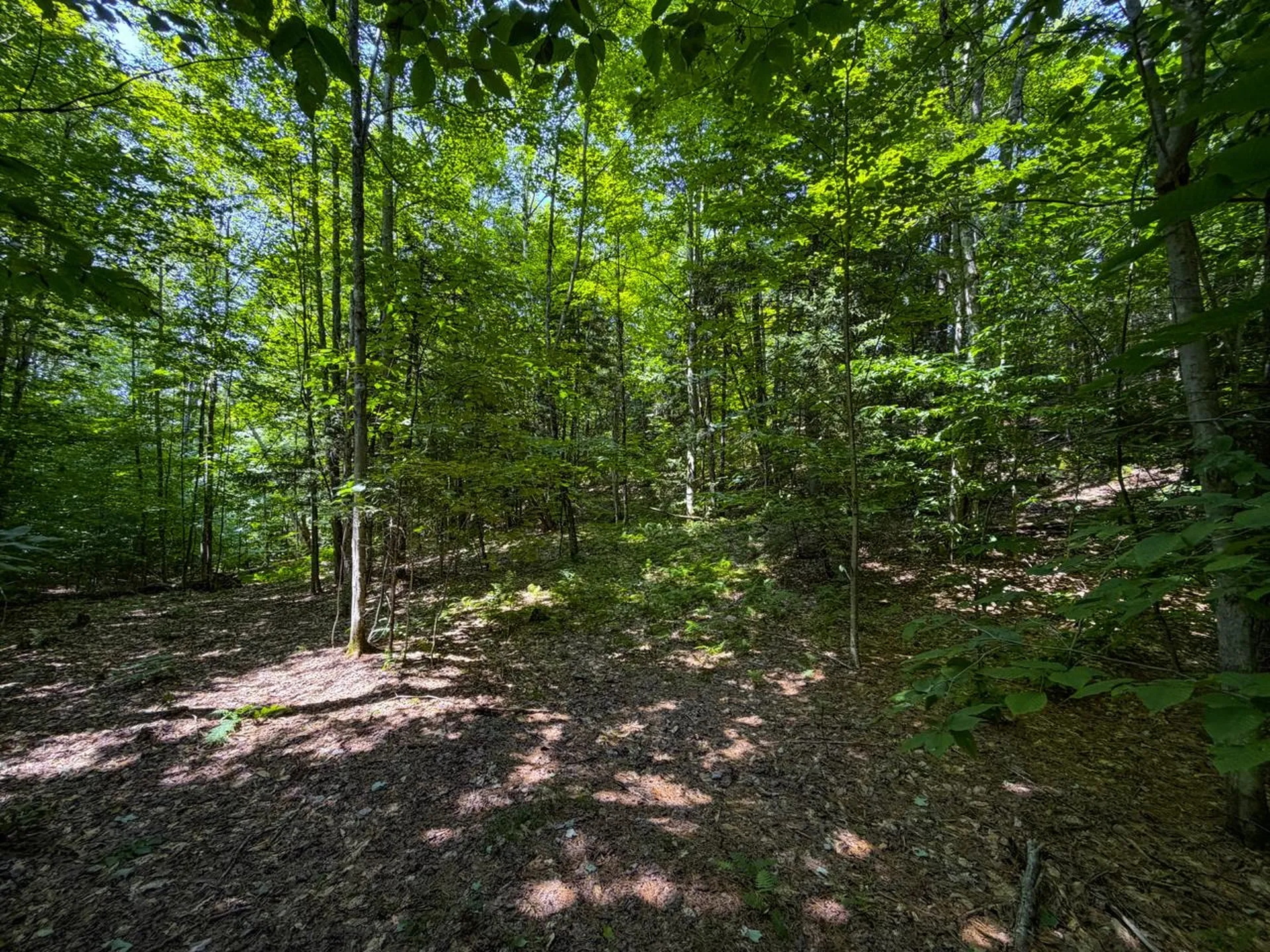 Tbd Taylor Road Duxbury VT 05660