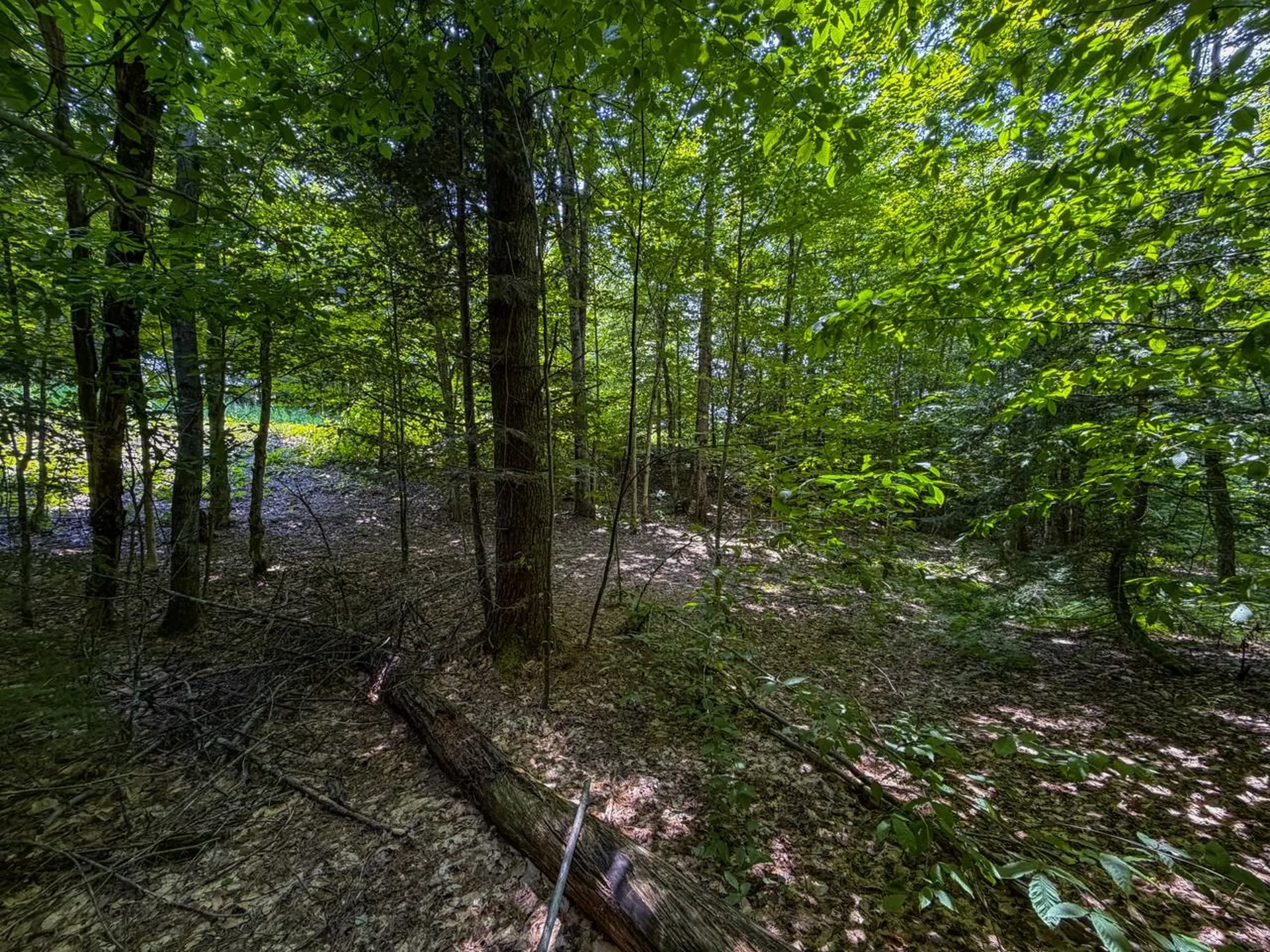 Tbd Taylor Road Duxbury VT 05660