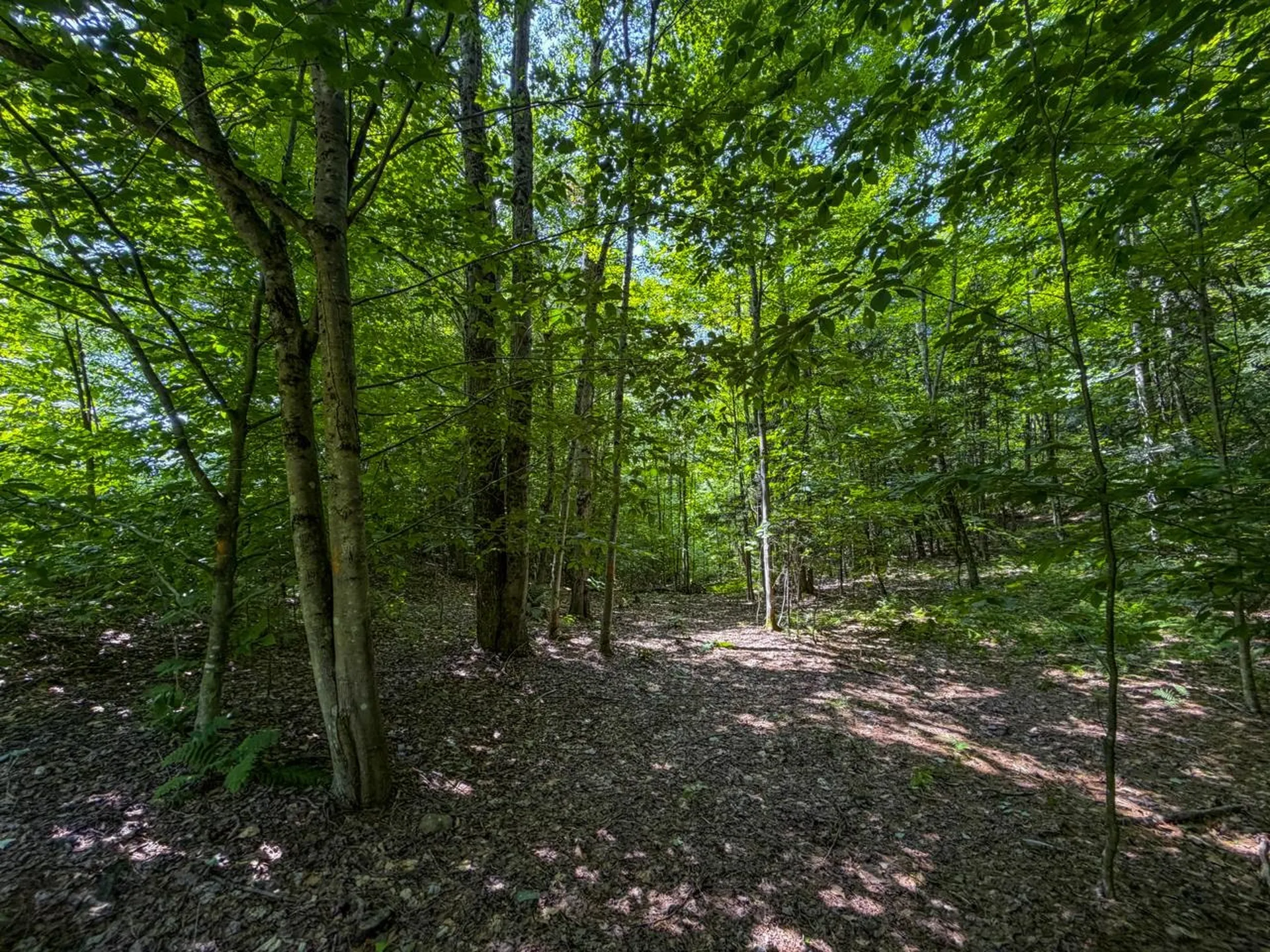 Tbd Taylor Road Duxbury VT 05660