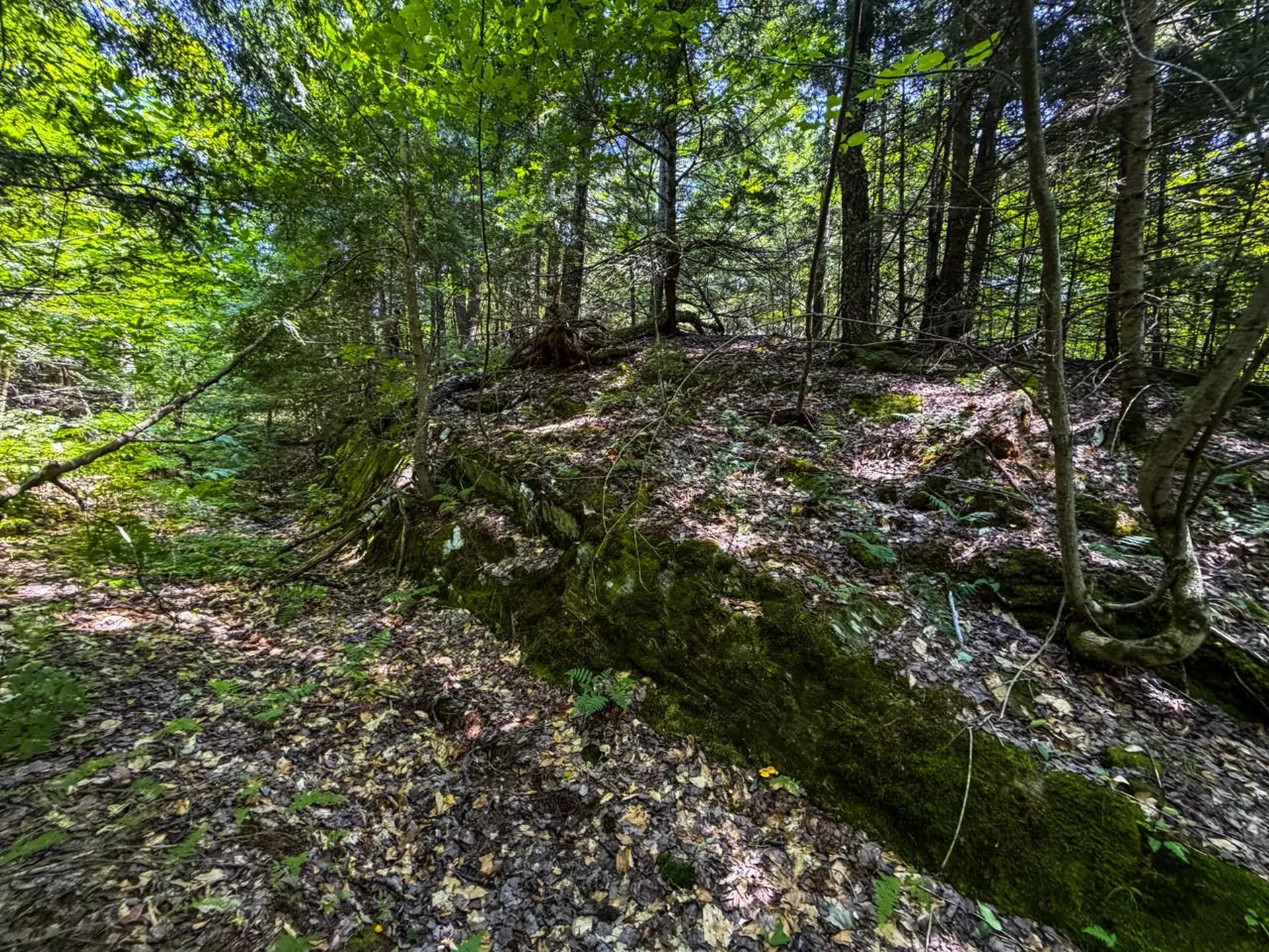 Tbd Taylor Road Duxbury VT 05660
