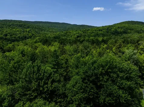 Tbd Taylor Road Duxbury VT 05660