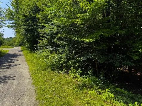 Tbd Taylor Road Duxbury VT 05660