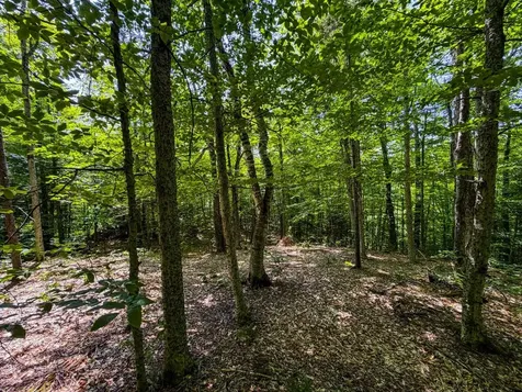 Tbd Taylor Road Duxbury VT 05660