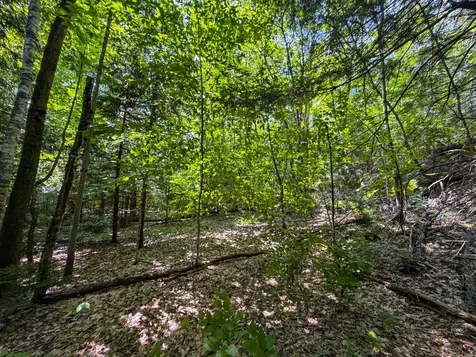 Tbd Taylor Road Duxbury VT 05660