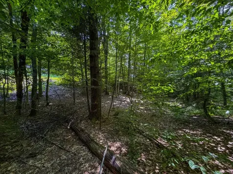 Tbd Taylor Road Duxbury VT 05660