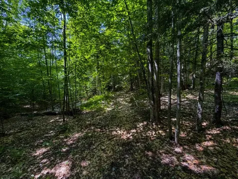 Tbd Taylor Road Duxbury VT 05660
