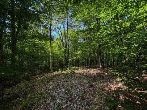 Tbd Taylor Road Duxbury VT 05660