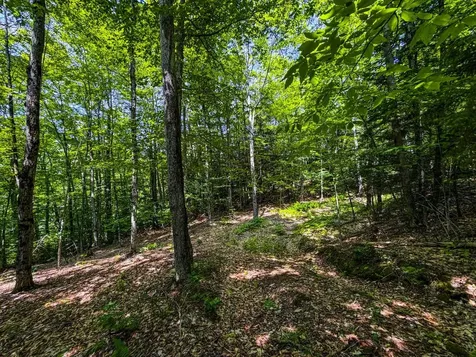 Tbd Taylor Road Duxbury VT 05660