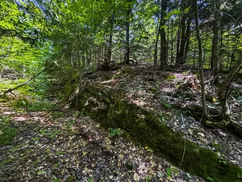 Tbd Taylor Road Duxbury VT 05660