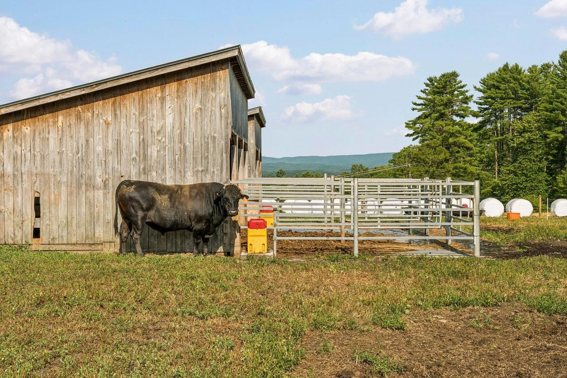 83 Town Farm Hill Road Hartland VT 05048