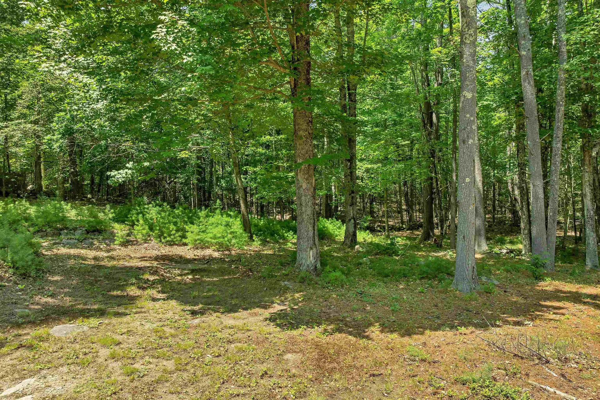 495 Halls Hill Road Alton NH 03809