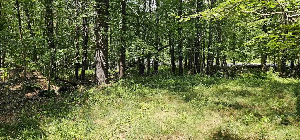 492 Moultonboro Neck Road Moultonborough NH 03254-4739