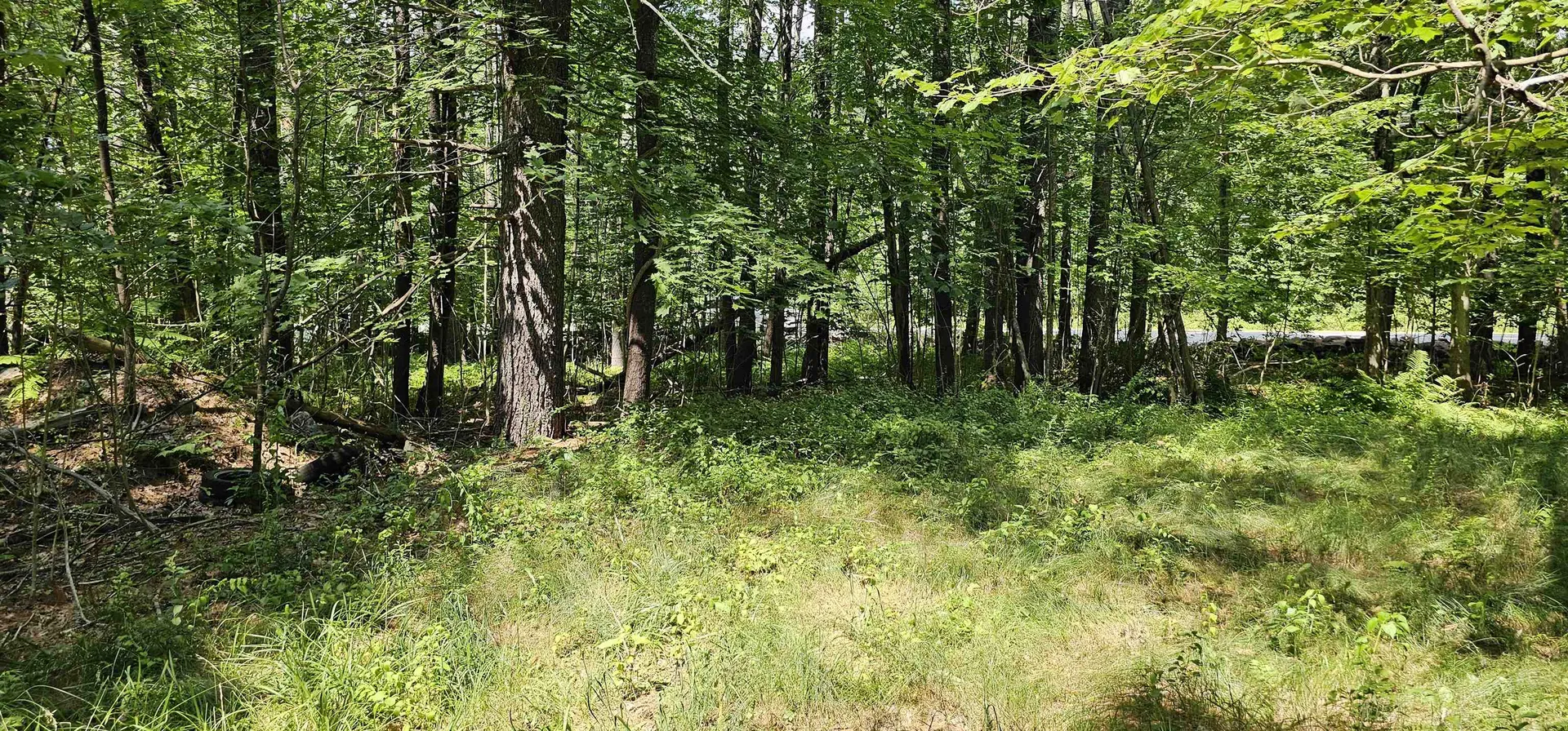 492 Moultonboro Neck Road Moultonborough NH 03254-4739