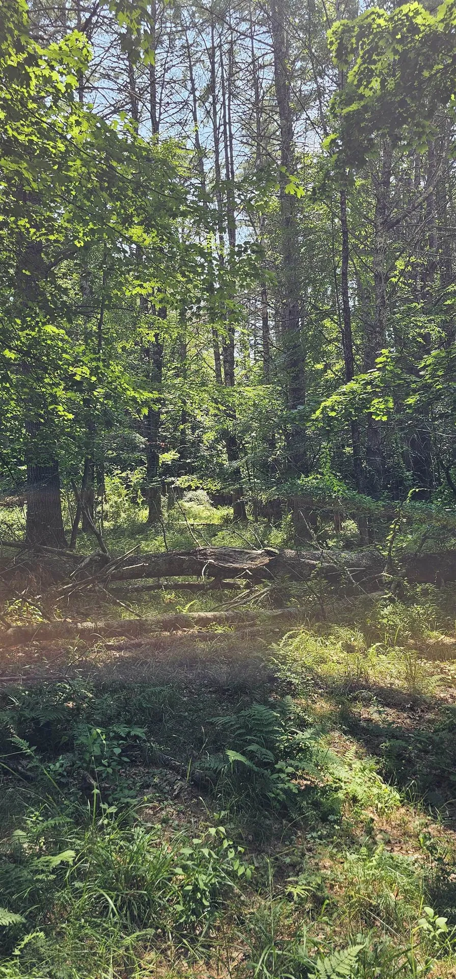492 Moultonboro Neck Road Moultonborough NH 03254-4739
