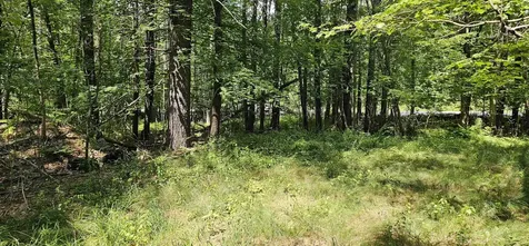 492 Moultonboro Neck Road Moultonborough NH 03254-4739