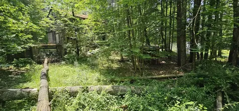 492 Moultonboro Neck Road Moultonborough NH 03254-4739
