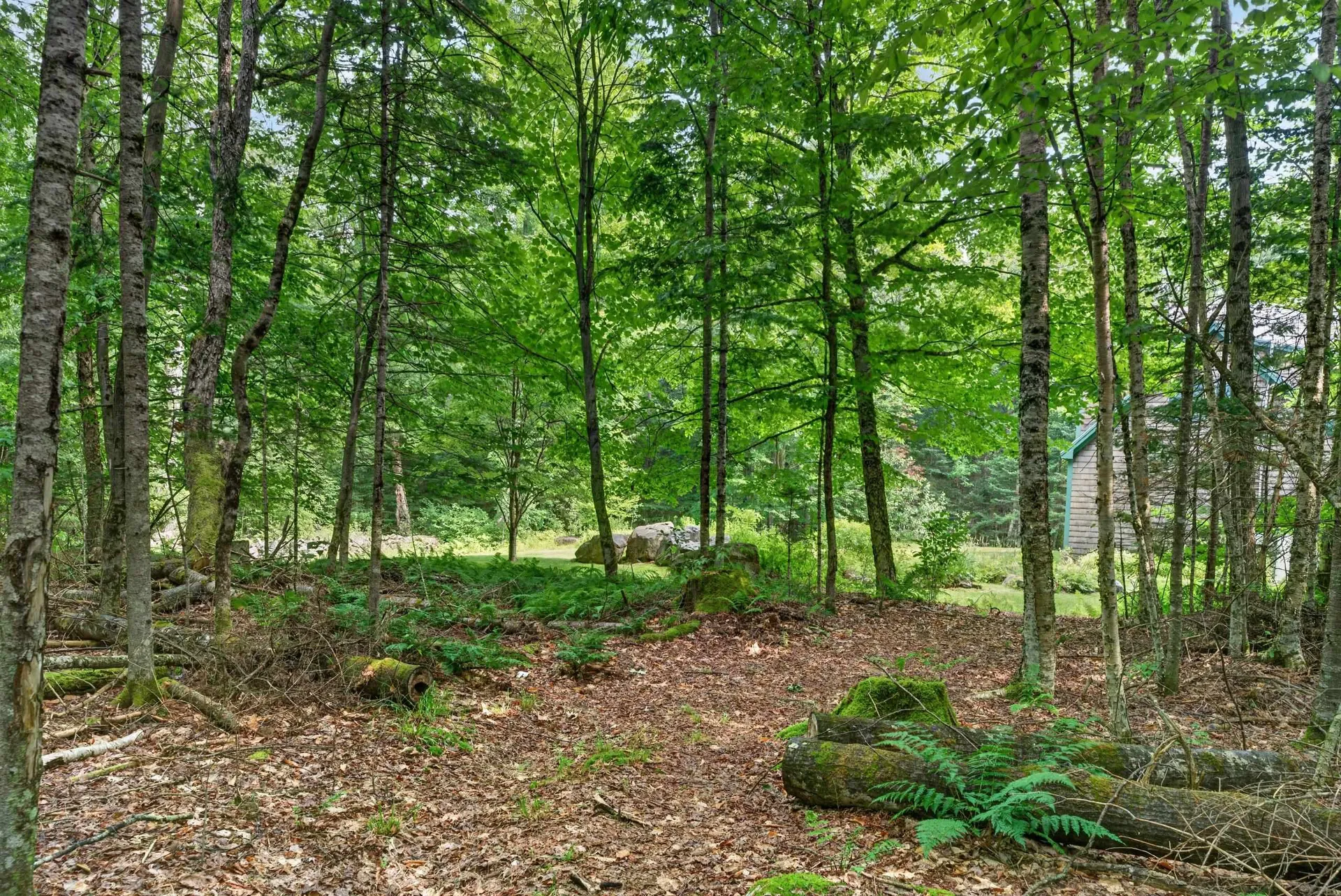 110 Toad Hill Road Franconia NH 03580
