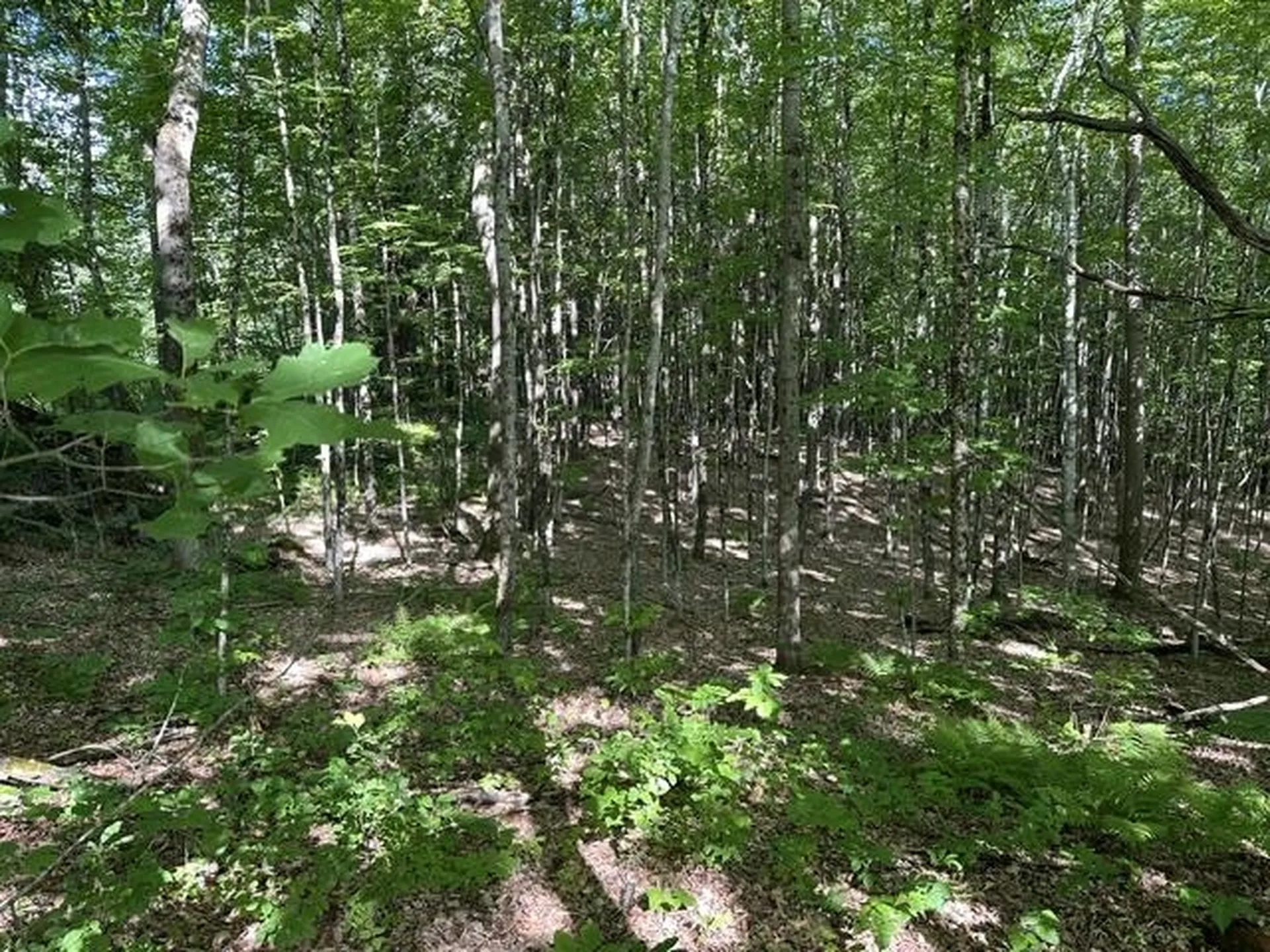 000 Marton Road Windsor VT 05089