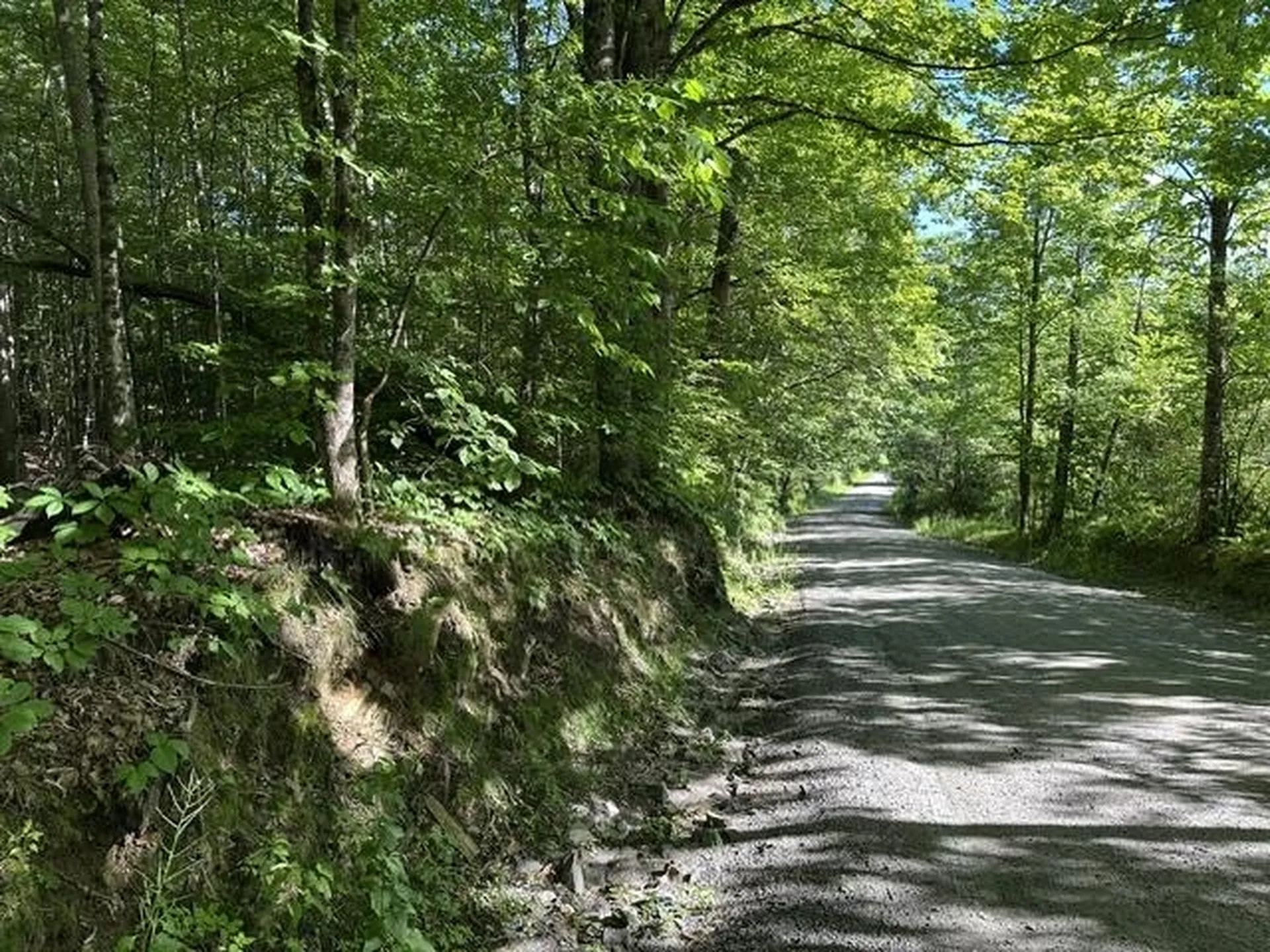 000 Marton Road Windsor VT 05089