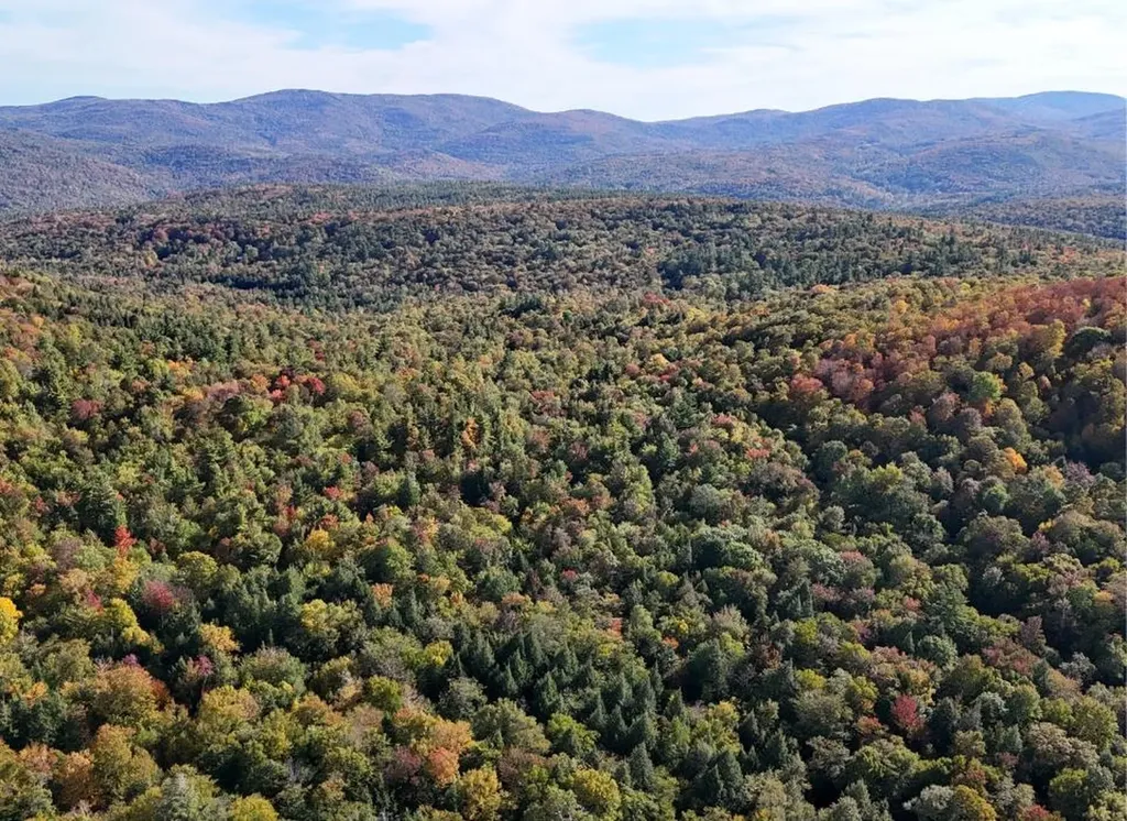 0 Black Bear Road Jamaica VT 05343