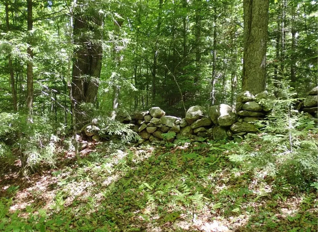 0 Black Bear Road Jamaica VT 05343