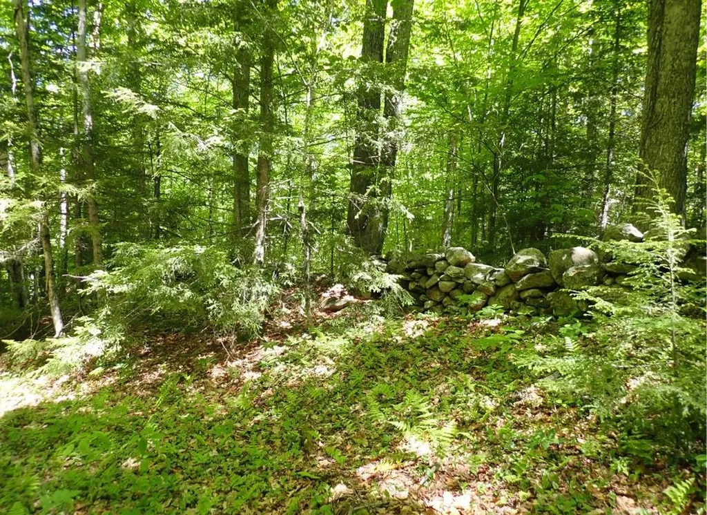 0 Black Bear Road Jamaica VT 05343