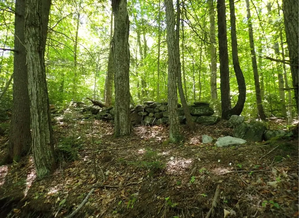 0 Black Bear Road Jamaica VT 05343