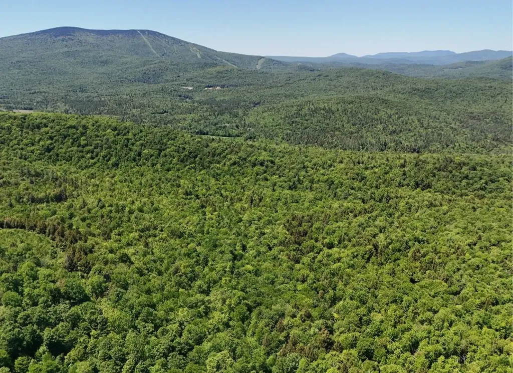 0 Black Bear Road Jamaica VT 05343