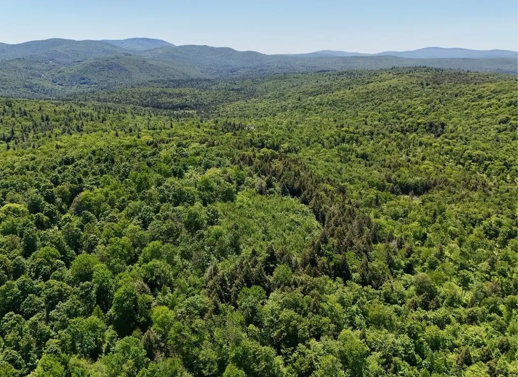 0 Black Bear Road Jamaica VT 05343
