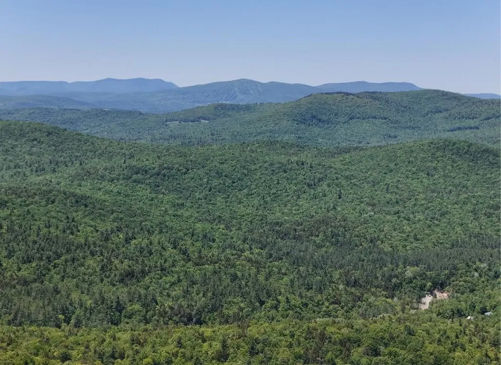 0 Black Bear Road Jamaica VT 05343