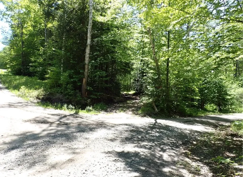 0 Black Bear Road Jamaica VT 05343