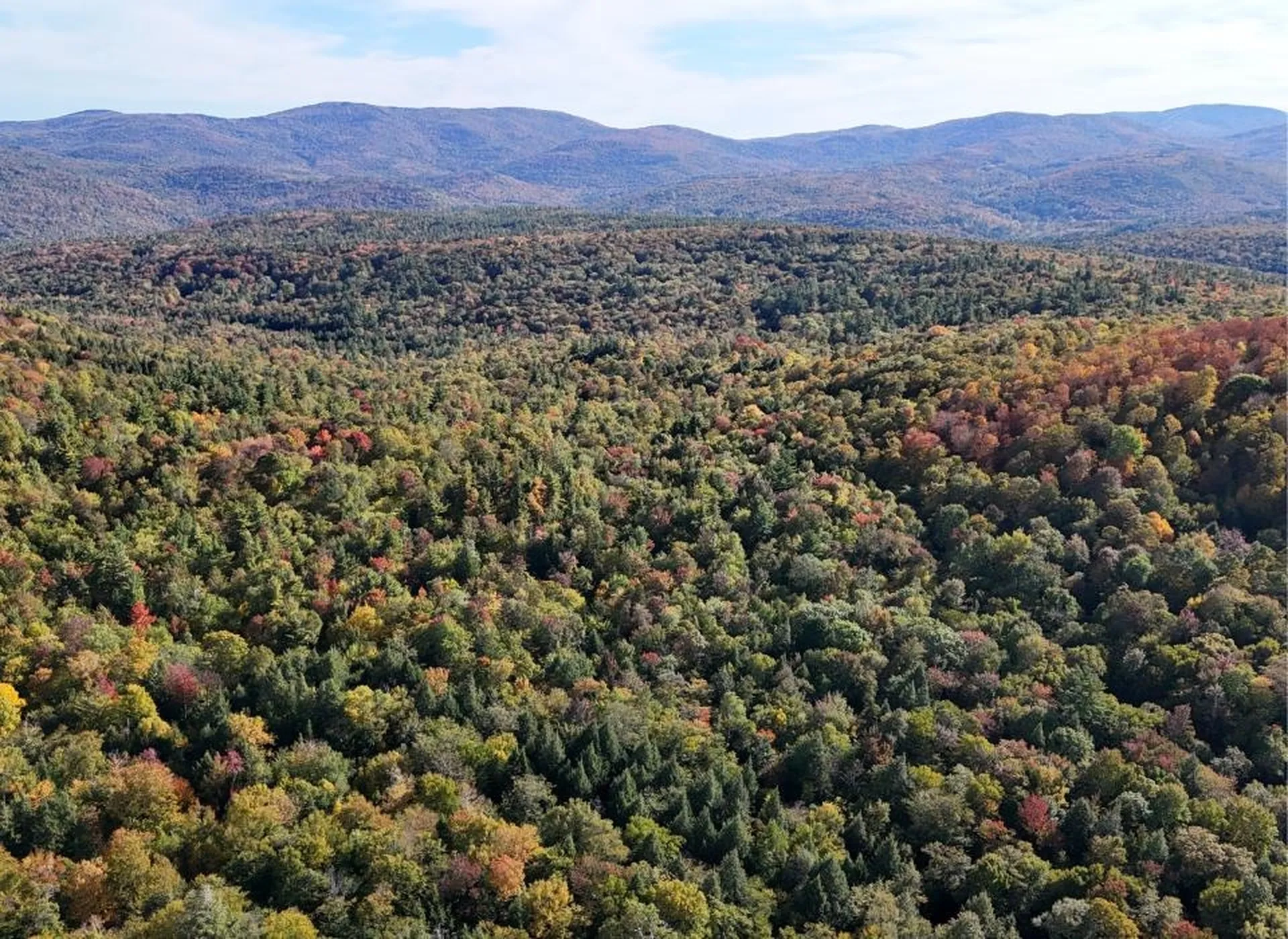 0 Black Bear Road Jamaica VT 05343