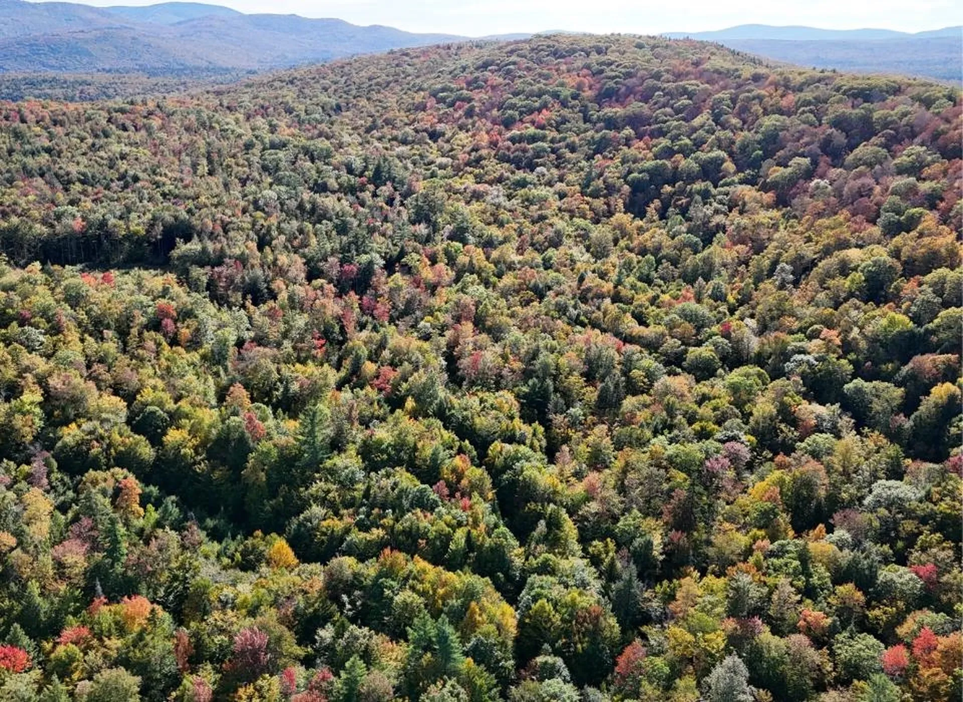 0 Black Bear Road Jamaica VT 05343