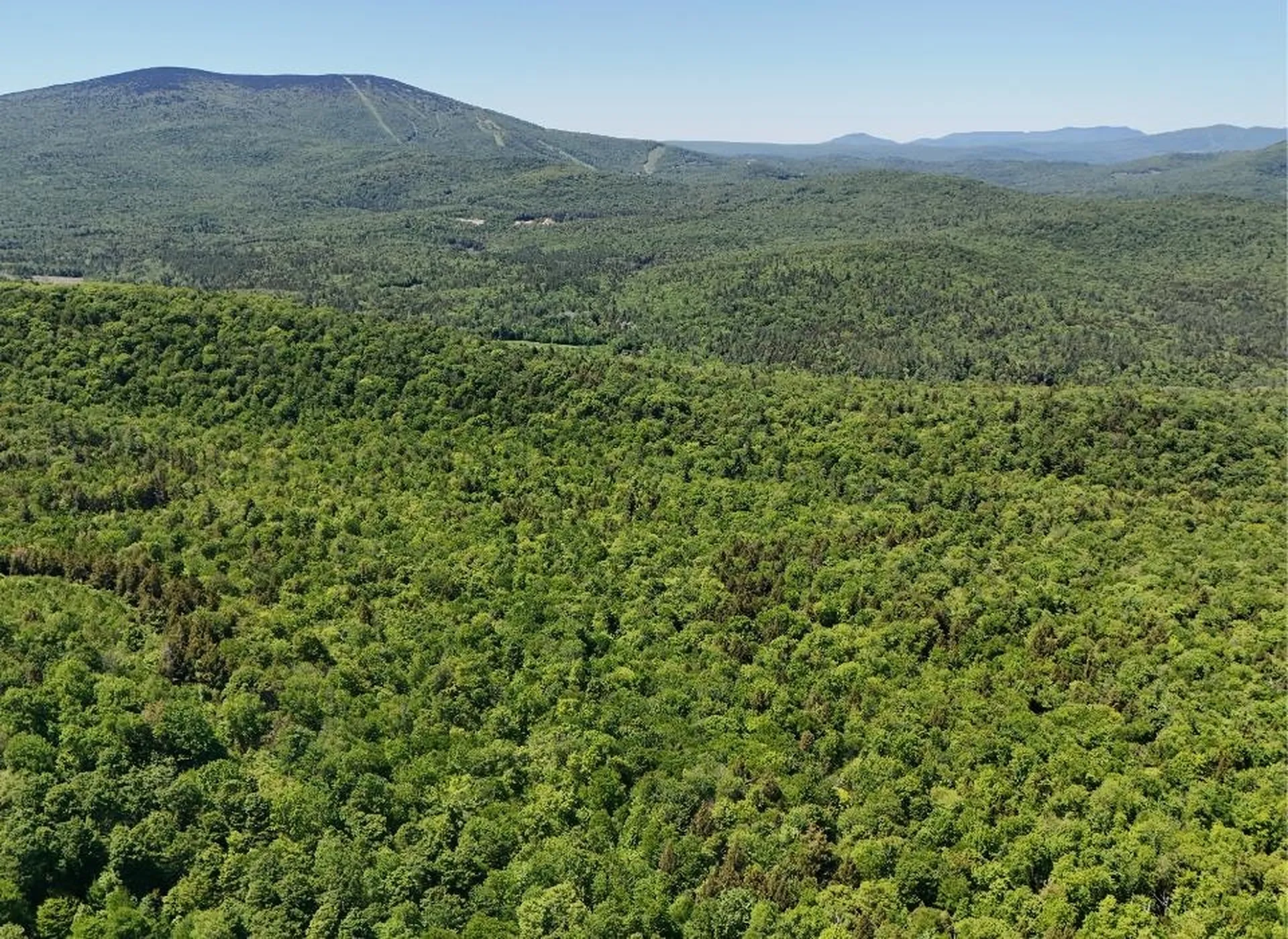 0 Black Bear Road Jamaica VT 05343