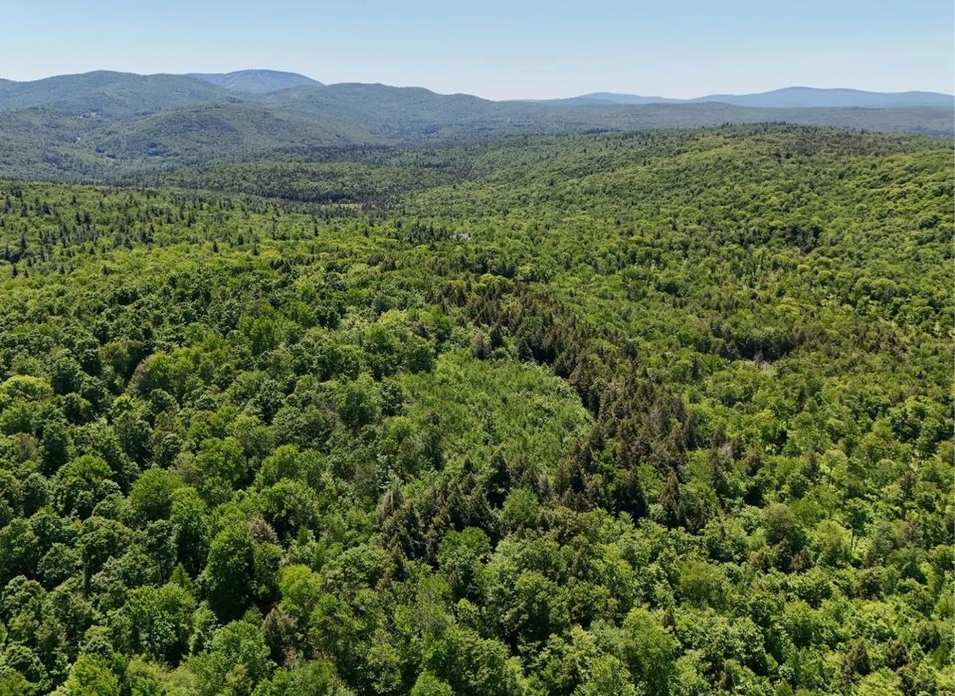 0 Black Bear Road Jamaica VT 05343