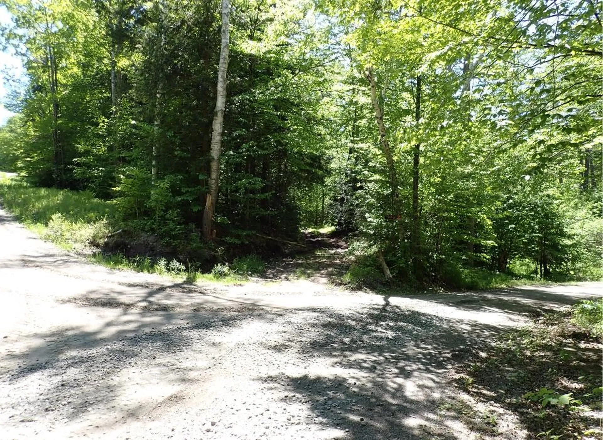 0 Black Bear Road Jamaica VT 05343