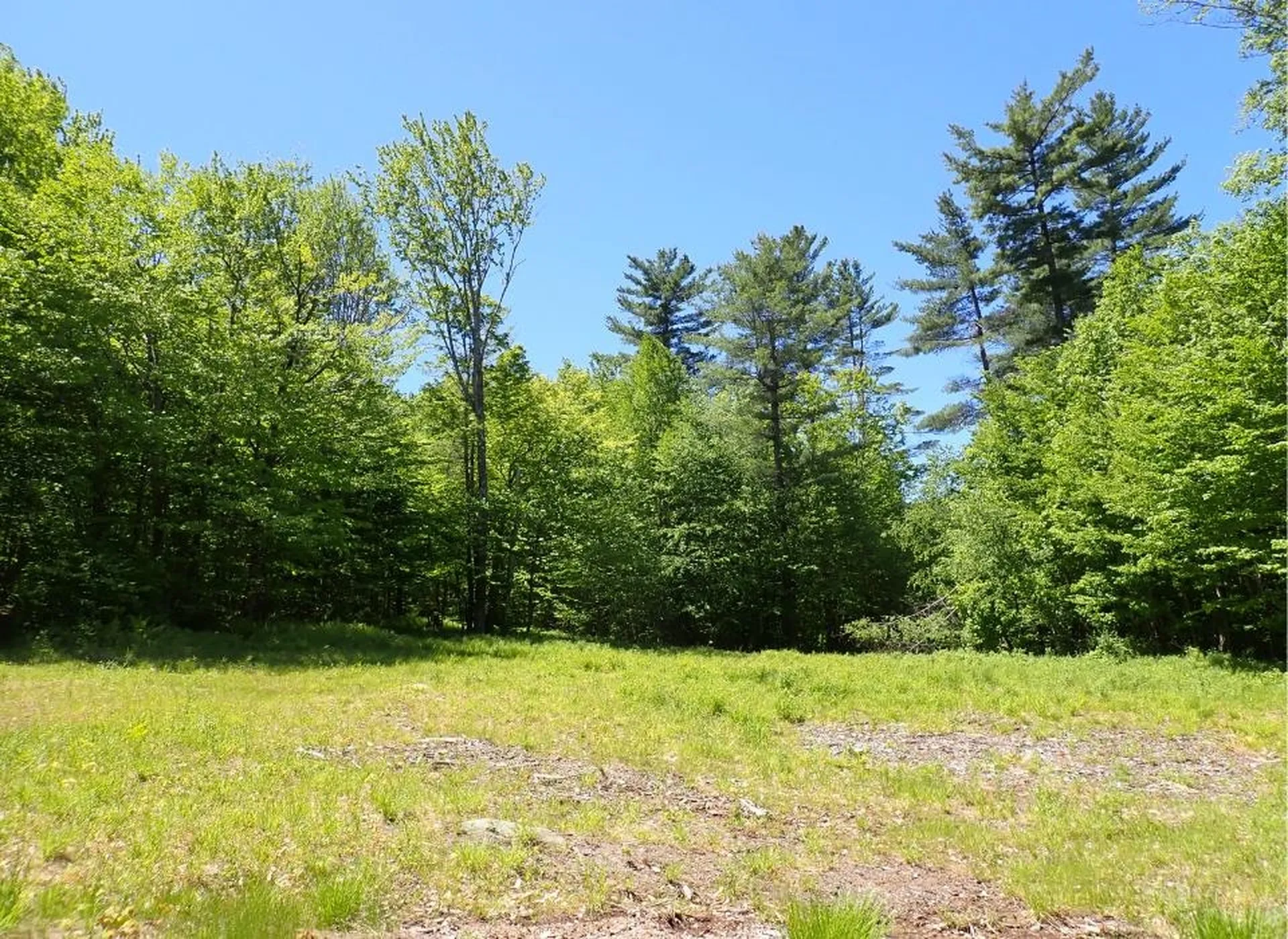 0 Black Bear Road Jamaica VT 05343