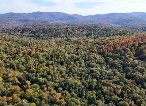 0 Black Bear Road Jamaica VT 05343